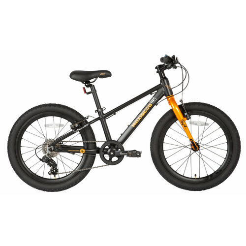 Детский велосипед Maxiscoo 5Bike 20 Boy 2024 20 Черный 120-140 см 2990000₽