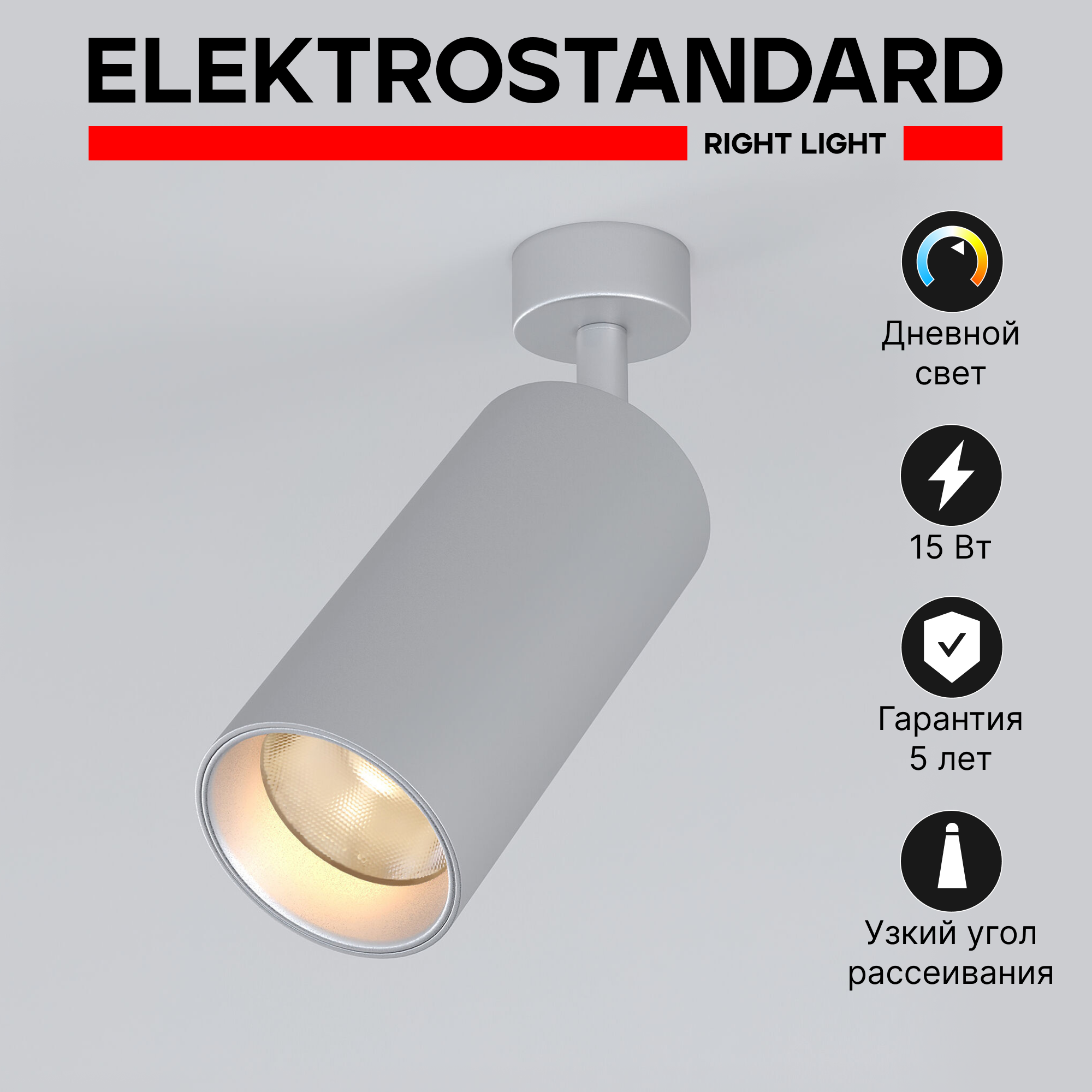 Спот / Накладной светодиодный светильник с поворотным плафоном Elektrostandard Diffe 85266/01 15W 4200K серебряный