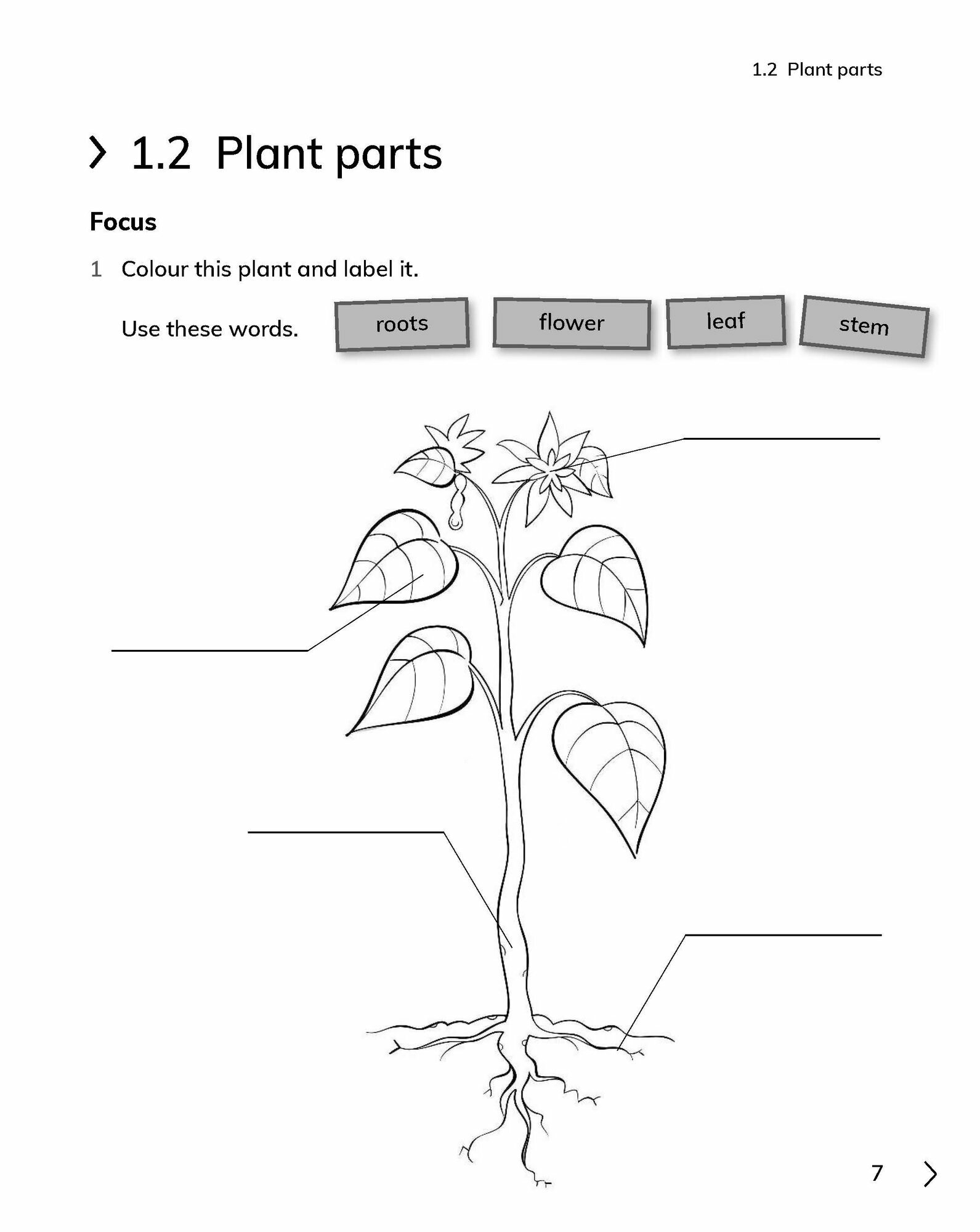 Cambridge Primary Science. Workbook 3 with Digital Access - фото №4