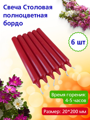Свеча Столовая полноцветная 20х200 мм, цвет: бордо, 4-5 часов, 6 шт.
