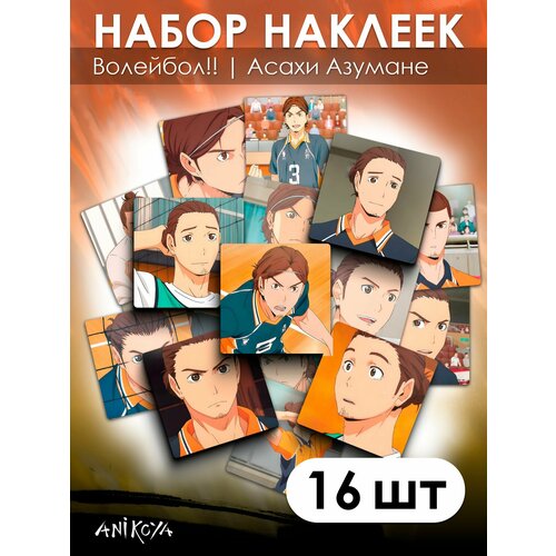 Наклейки Волейбол Асахи Азумане 16 шт наклейки волейбол