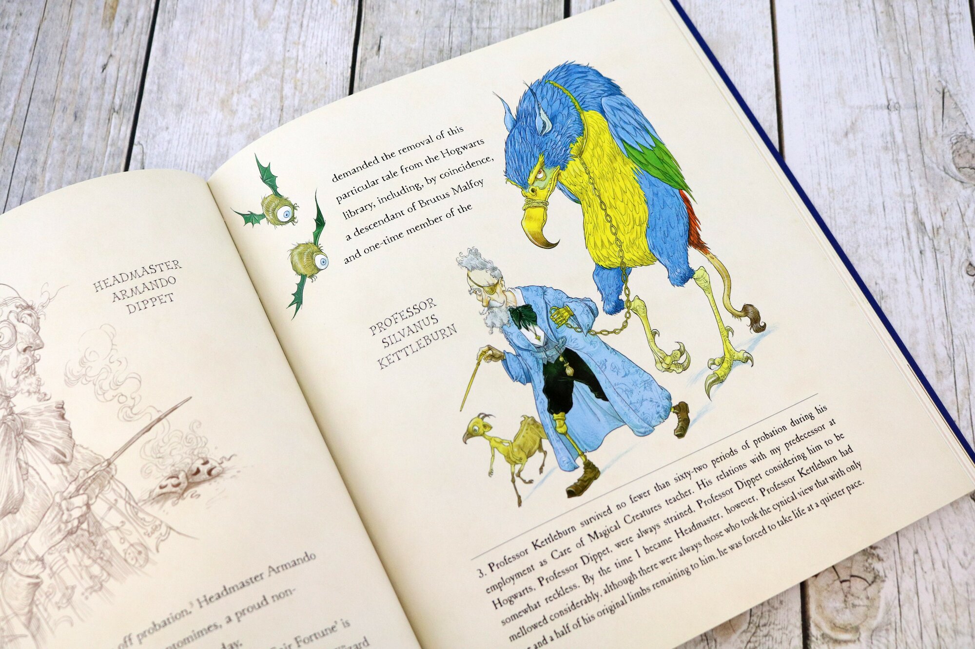 The Tales of Beedle the Bard. Illustrated Edition - фото №2