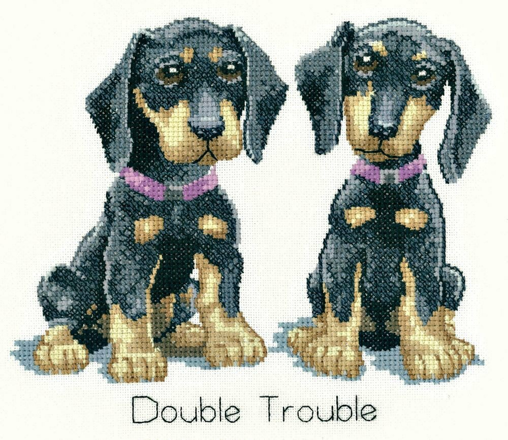 Двойная проблема (Double Trouble) 1086-DLDT