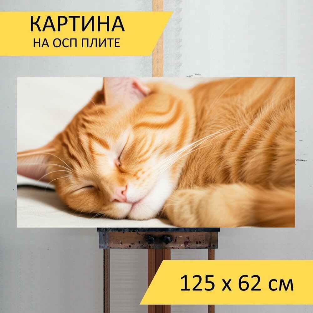 Вертикальная картина на ОСП для любителей животных "Домашние питомцы, коты, спящий" 125x62 см. для интерьера на стену