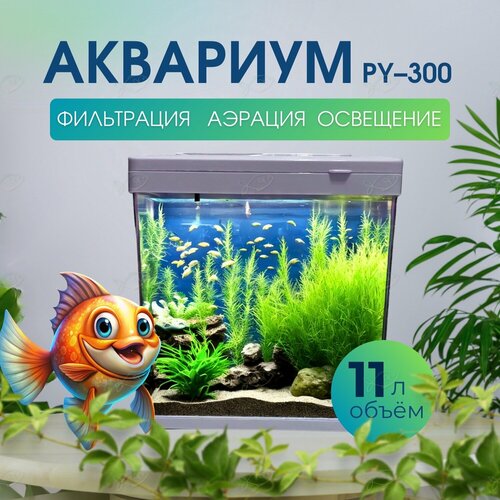 Аквариум для рыбок