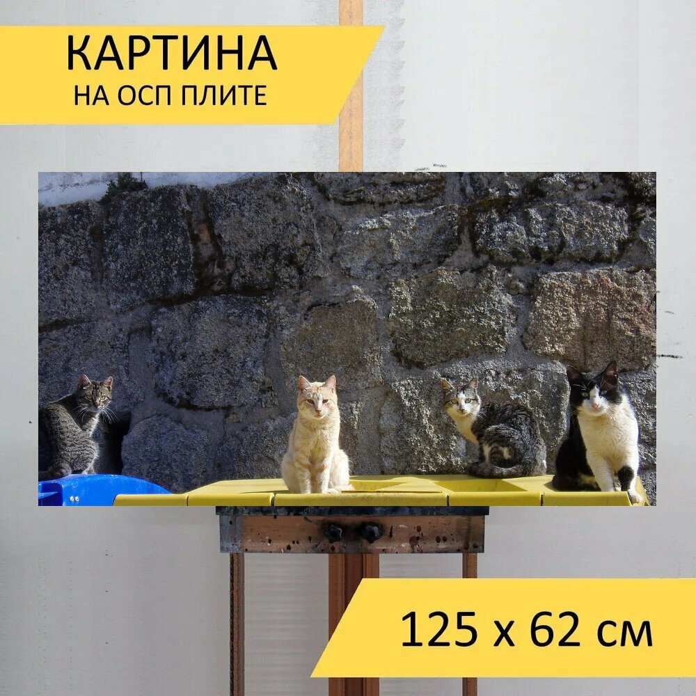 Картина на ОСП "Кошки кошачий животное" 125x62 см. для интерьера на стену