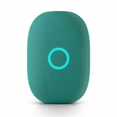 Умная колонка Капсула с голосовым помощником Марусей от VK хвойный зеленый 1339000₽