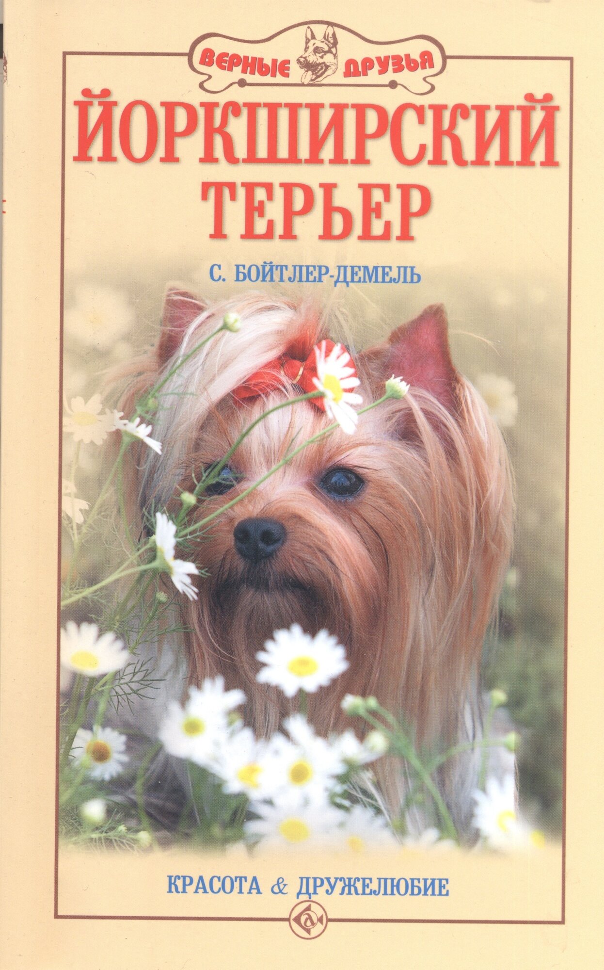 Йоркширский терьер. Красота и дружелюбие