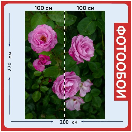Фотообои Цветок розы розовый 200x270 см флизелиновыена стену 2940₽