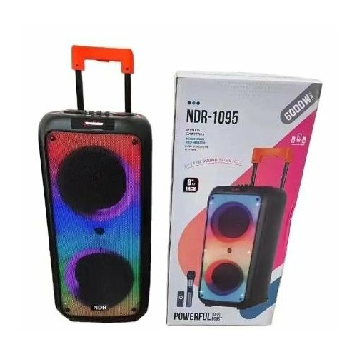 Портативная колонка NDR-1095 с функцией караоке 100w Usb Bluetooth 1950000₽