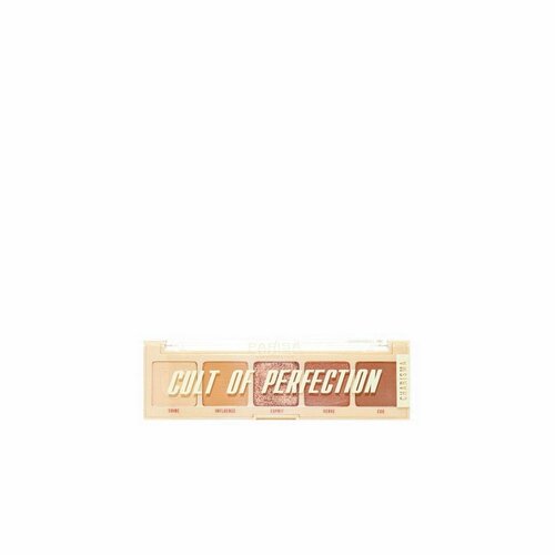 Набор теней для век Parisa Cosmetics E-605 вес 42гр 4 CHARISMA Испания - 1шт 844₽