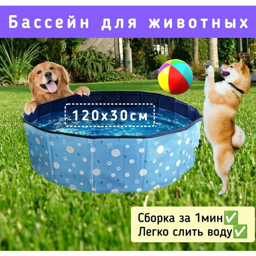 Бассейн для собак 12030см голубой 4499₽
