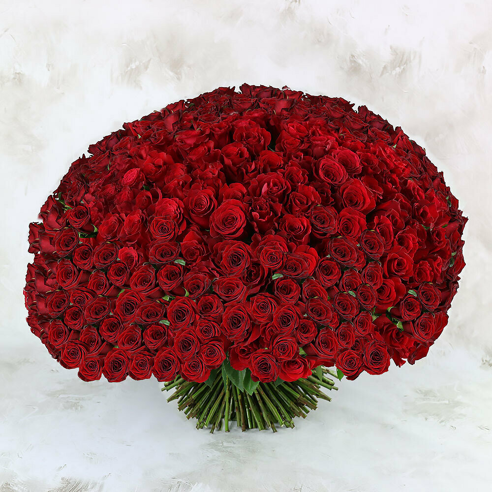 Букет "Букет Маркет" монобукет красные розы 301 шт высота 60 см