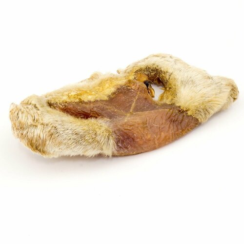 Говяжий нос Dogam 1 шт 310₽