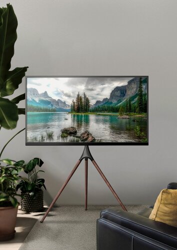 Изображение товара Подставка для телевизора Cactus CS-ST1246BKWN черный/орех 45"-65" макс.32кг напольный