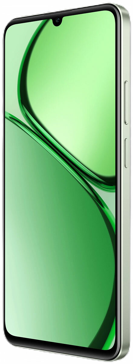 Смартфон Realme Realme C63 RMX3939 256Gb 8Gb зеленый — фото 1
