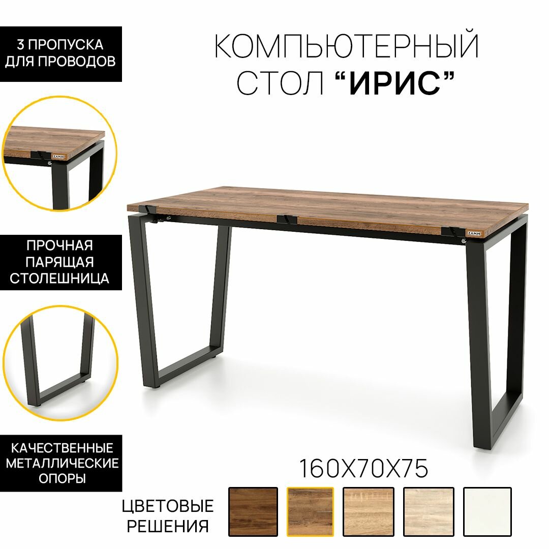 Компьютерный стол, Письменный стол Ирис (Тип 2) с пропусками для проводов 160х70х75