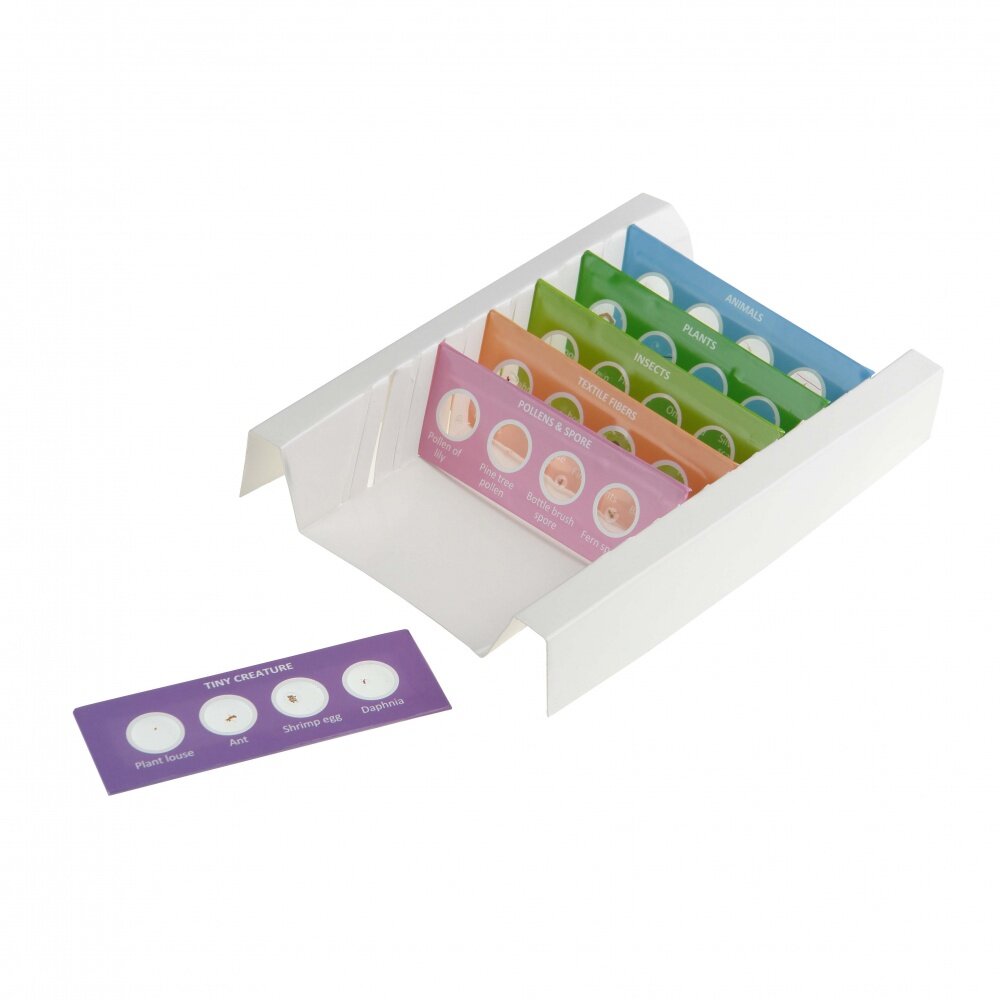 Набор микропрепаратов Микромед №24 — фото 1