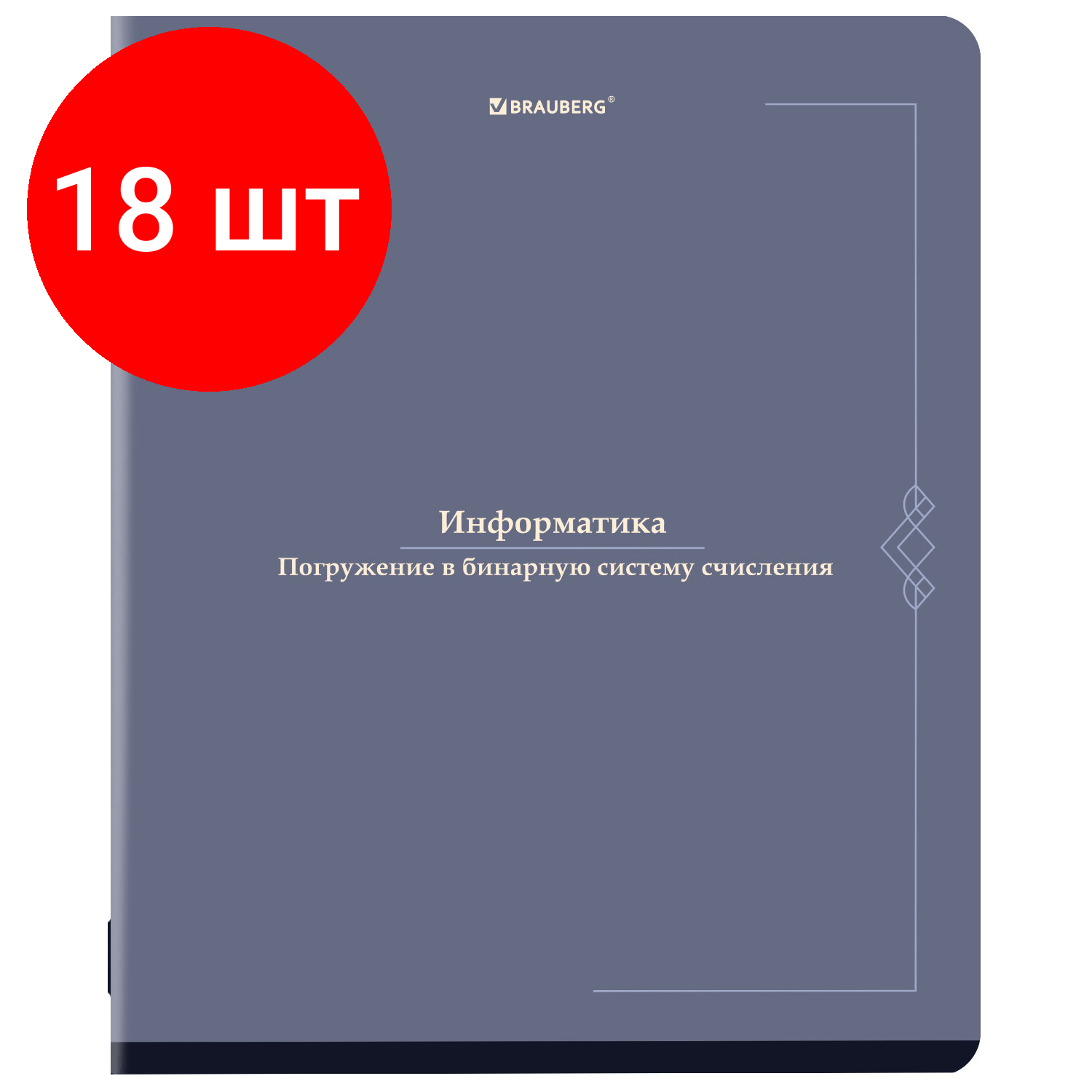 Комплект 18 шт, Тетрадь предметная VINTAGE 48 л, SoftTouch, информатика, клетка, подсказ, BRAUBERG, 405154