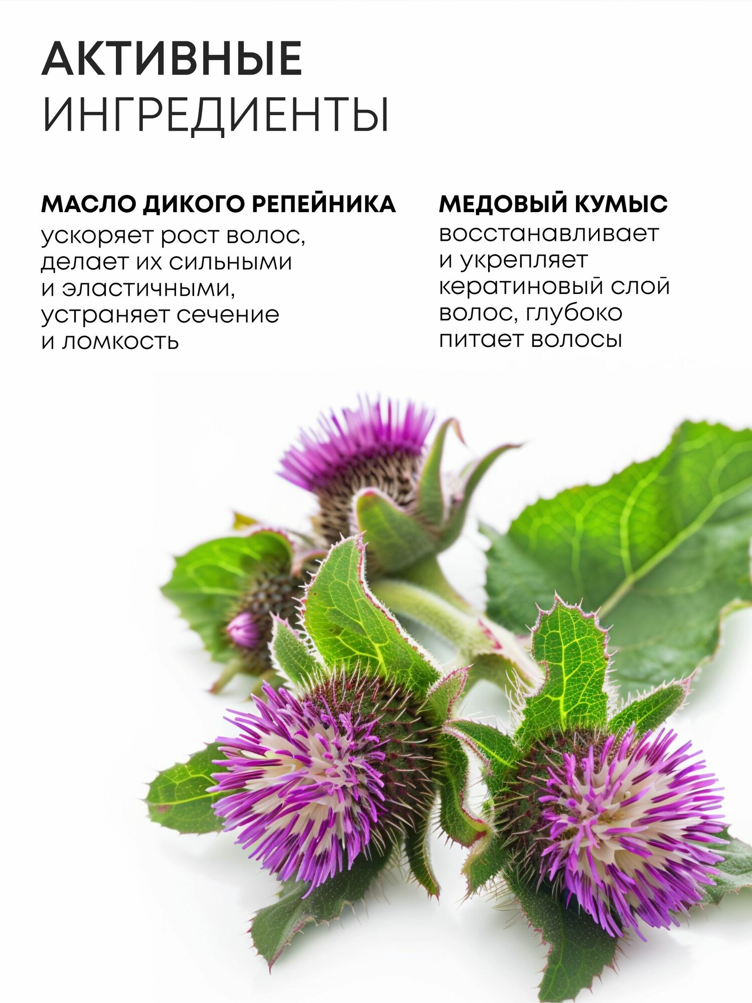Natura Siberica Медовый Кумыс Сила и рост Шампунь для волос укрепляющий, восстанавливающий репейный 400 мл — фото 1