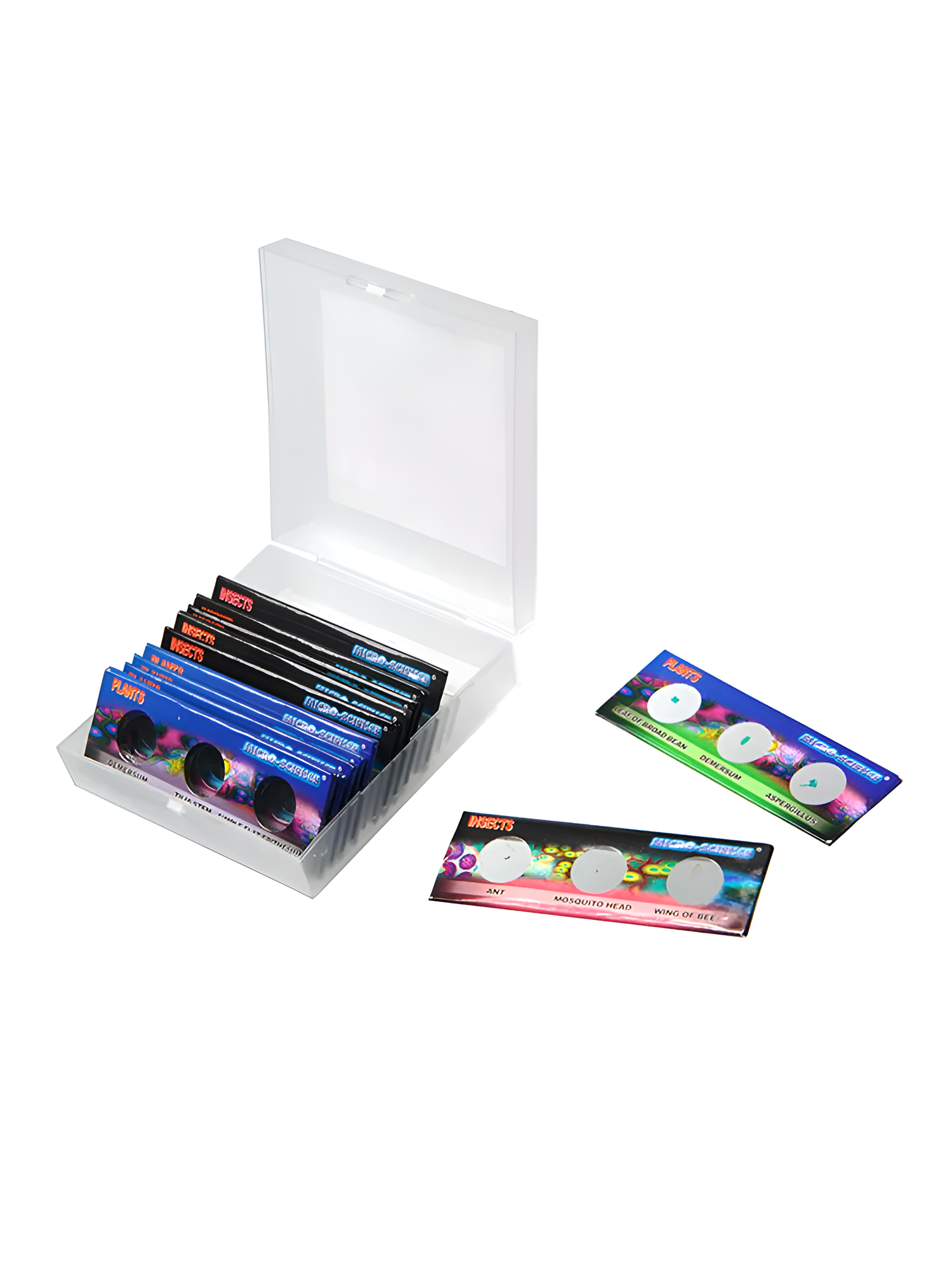 Набор микропрепаратов для микроскопа, 36 шт, 12 стёкол, пластиковый кейс