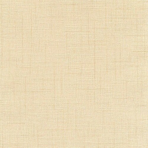 Обои виниловые на бумажной основе Shinhan Focus 15,6х1,06 м (88487-2)