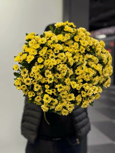 Изображение товара Букет wowflo "Сантини", хризантема сантини, 101 цветок, 60см