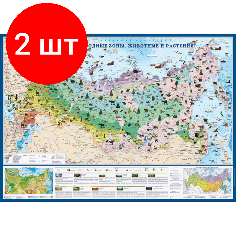 Комплект 2 штук, Настенная карта. Природные зоны, животные и растения 1.43х1.02м, КН82