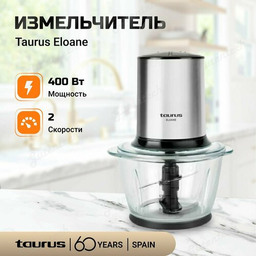 Измельчитель Taurus Eloane / 2 скорости работы / 2 ножа (4 лезвия) из нержавеющей стали / серебристый