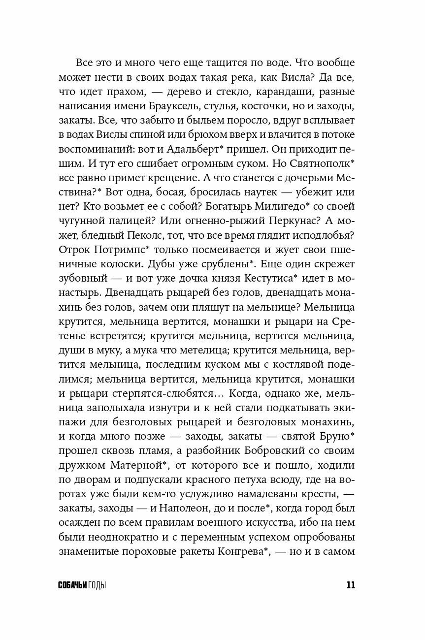 Собачьи годы (Гюнтер Грасс) - фото №10