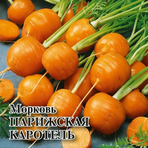 Семена Морковь Парижская каротель, 10г, Гавриш, Фермерское подворье, 5 пакетиков семена базилик философ 10г гавриш фермерское подворье 5 пакетиков