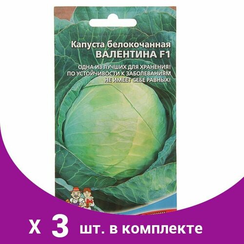семена капуста белокочанная валентина f1 поздний кочан 3 5 5 кг очень плотный 0 1 г 3 шт Семена Капуста белокочанная 'Валентина F1' поздний, кочан 3,5-5 кг, очень плотный 0,1 г (3 шт)