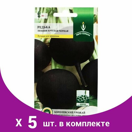 Семена Редька 'Зимняя круглая черная', цв/п, 1 г (5 шт) редька зимняя круглая черная семена