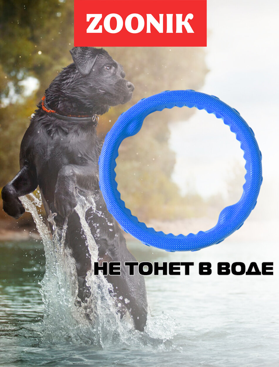 Зооник Игрушка кольцо плавающее большое (пластикат, 24,5 см), синяя - фотография № 4