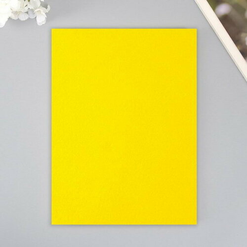 Набор мягкого фетра Астра 302₽