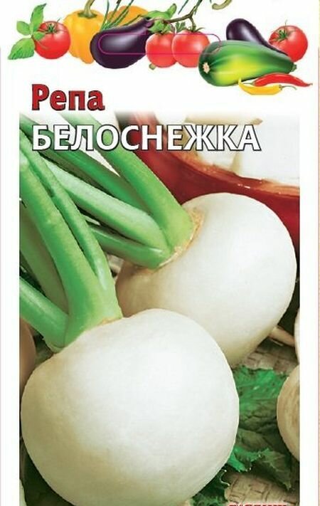 Семена Репа Белоснежка