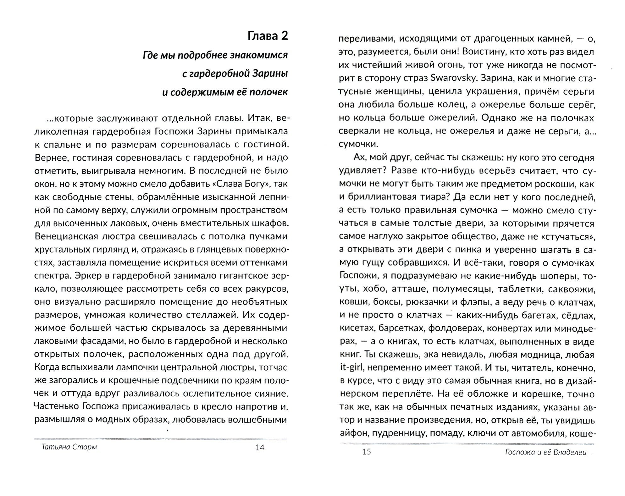 Госпожа и ее Владелец (Сторм) - фото №6