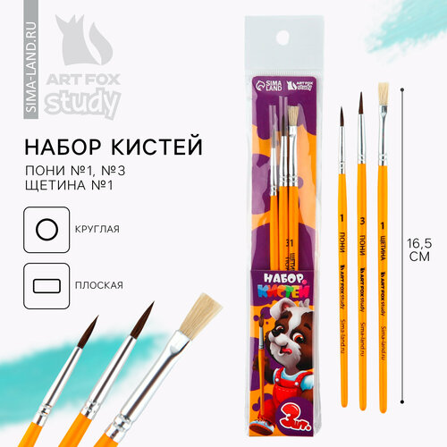 Кисть для рисования набор 3 шт пони 1 3 щетина 1 для школы 1 сентября 352₽