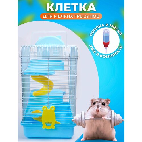 Клетка для грызунов мелких пород сборная Wetnose, восторг мини, 25х15х15 см/вольер с поддоном, миской, домиком, ступеньками, поилкой и кормушкой для хомячков и мышей, набор