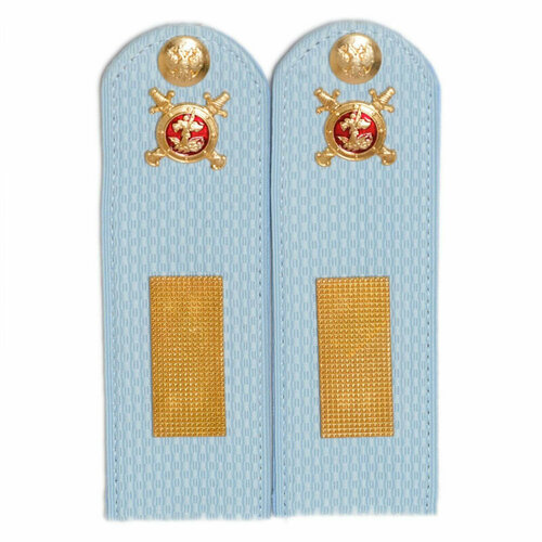 Погоны МВД голубые старшина с петлицей, Материал Картонные