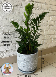 Большой напольный керамический горшок для растений - замиокулькас, фикус, пальма. 10 литров.