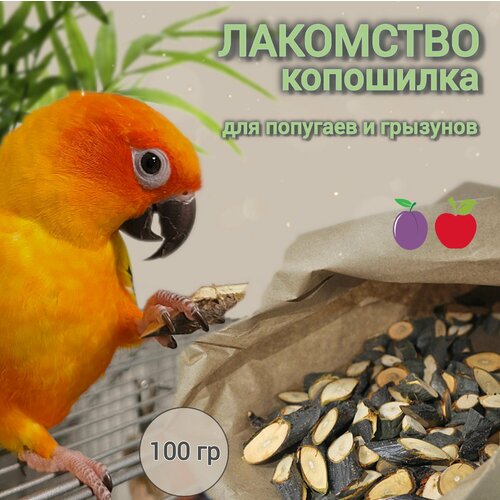 Копошилка лакомство для попугаев и грызунов лакомство для попугаев и грызунов копошилка 300 гр