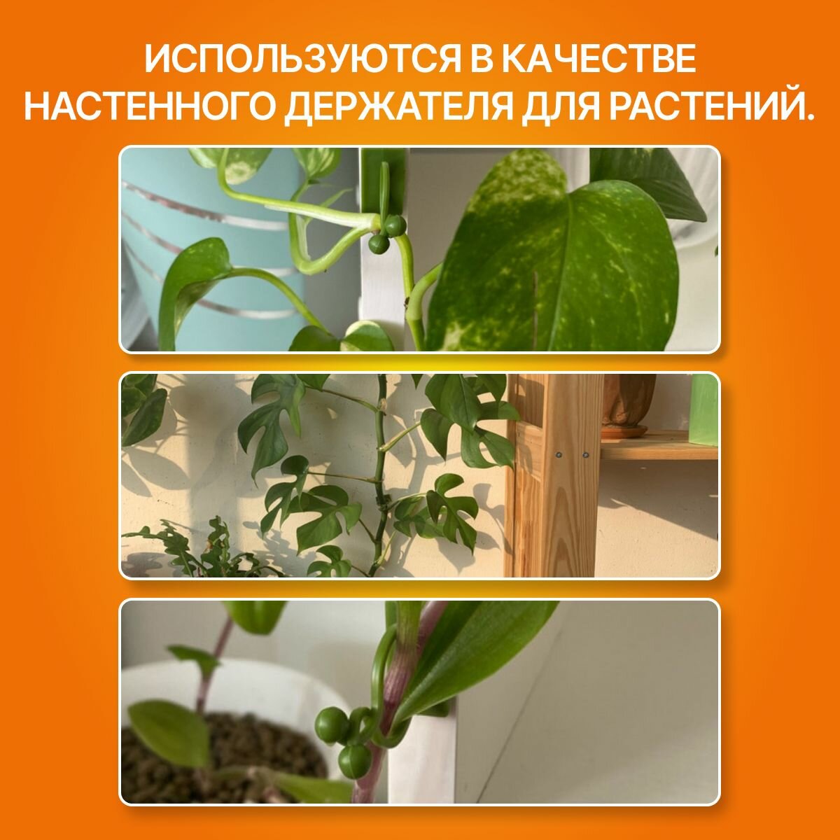 Клипса самоклеящаяся для поддержки растений, 20 шт. — фото 1