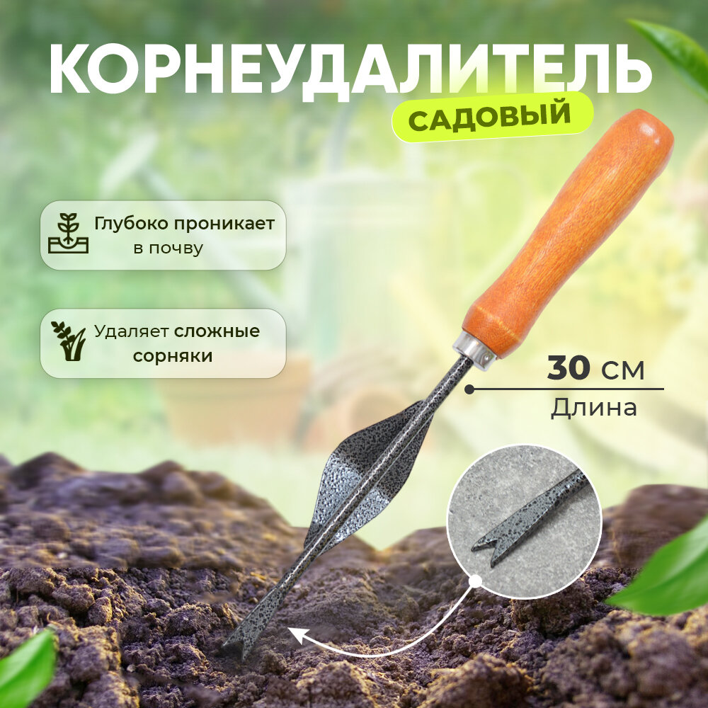 Корнеудалитель с деревянной ручкой, 30см