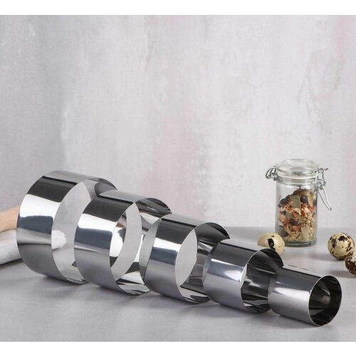 Набор форм для выпечки и выкладки Круг D-10 H-5 см 5 шт 697₽