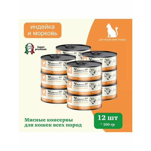 Влажный корм Yummy Linea для кошек индейка, овощи 100г х 12шт