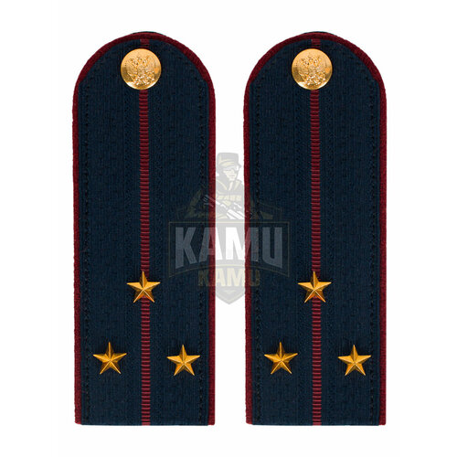 Погоны Фсин на Китель картон (в сборе) укомплектованные с фурнитурой звание Старший Лейтенант 14х5 см