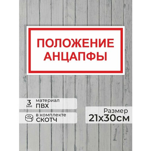 Табличка "Знак электробезопасности Положение Анцапфы" А4 (30х21см)