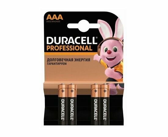 Батарейка Duracell Professional ААА/LR03, в упаковке: 4 шт.