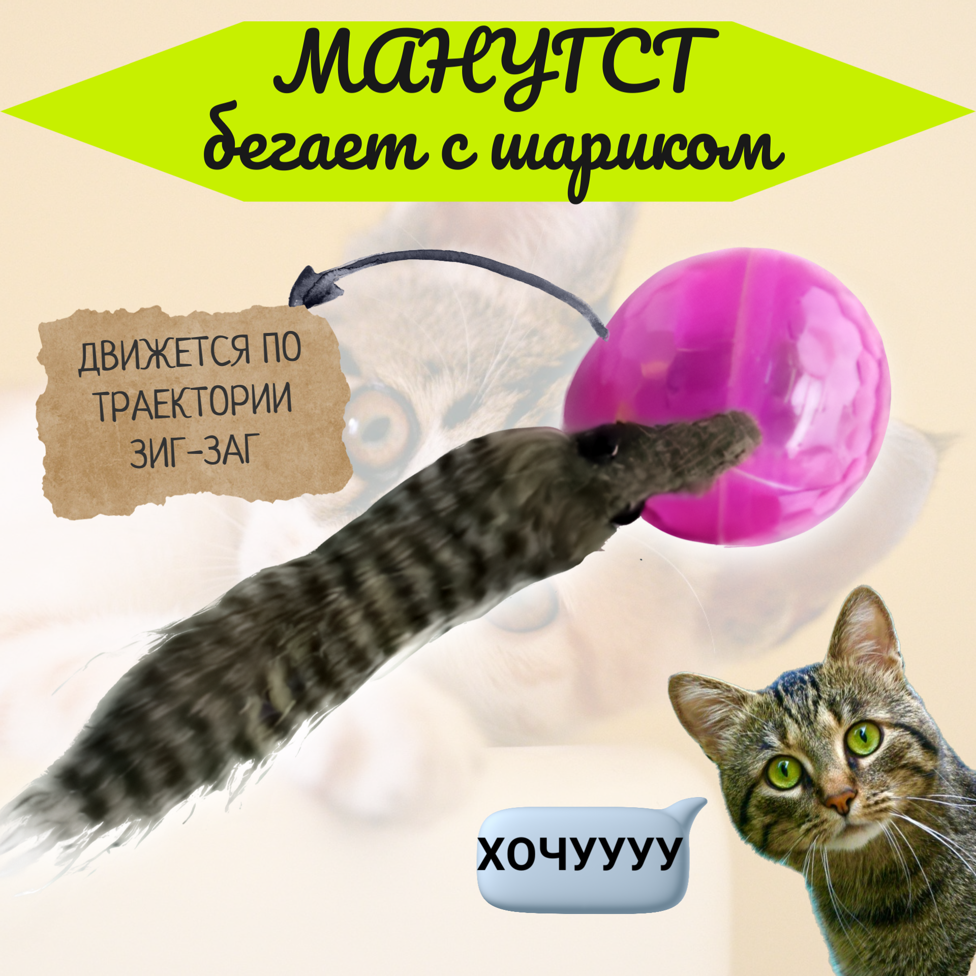 "Мангуст Бегущий За Шариком" - Автоматическая Игрушка Для Кошек